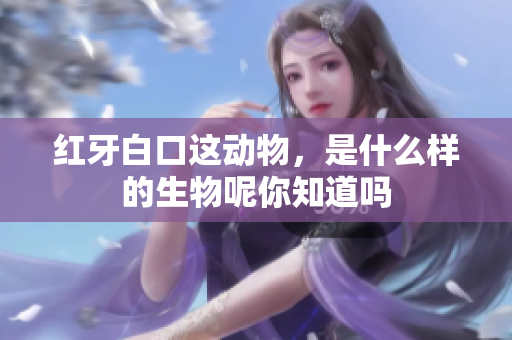 红牙白口这动物，是什么样的生物呢你知道吗