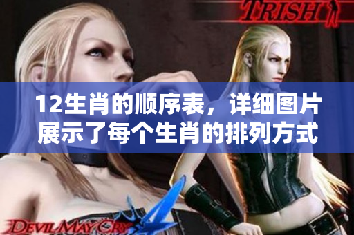 12生肖的顺序表，详细图片展示了每个生肖的排列方式