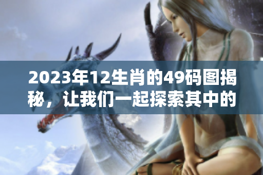 2023年12生肖的49码图揭秘，让我们一起探索其中的奥秘与乐趣！