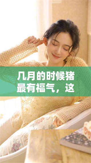 几月的时候猪最有福气，这个问题值得我们深入探讨一下。
