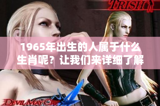 1965年出生的人属于什么生肖呢？让我们来详细了解一下吧！