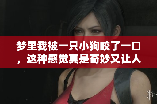 梦里我被一只小狗咬了一口，这种感觉真是奇妙又让人害怕