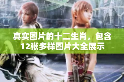 真实图片的十二生肖，包含12张多样图片大全展示