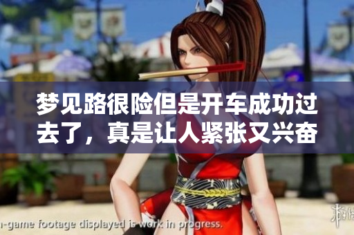 梦见路很险但是开车成功过去了，真是让人紧张又兴奋的经历