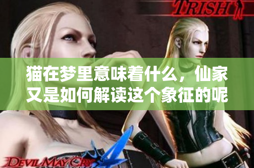 猫在梦里意味着什么，仙家又是如何解读这个象征的呢