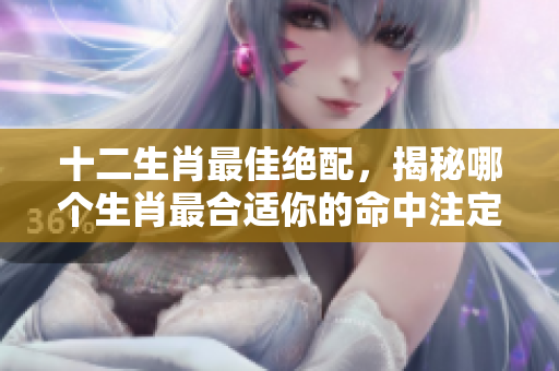 十二生肖最佳绝配，揭秘哪个生肖最合适你的命中注定伴侣
