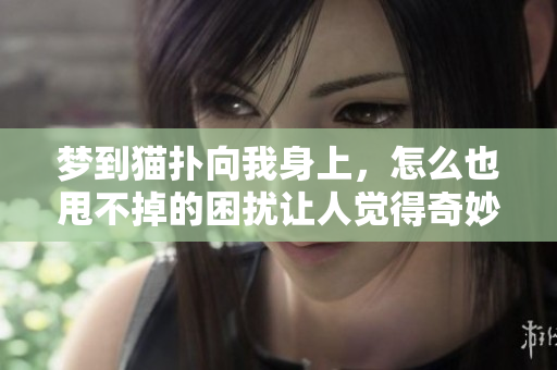 梦到猫扑向我身上，怎么也甩不掉的困扰让人觉得奇妙
