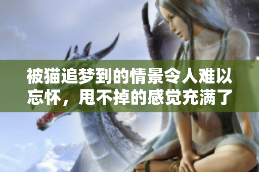 被猫追梦到的情景令人难以忘怀，甩不掉的感觉充满了恐惧与紧张