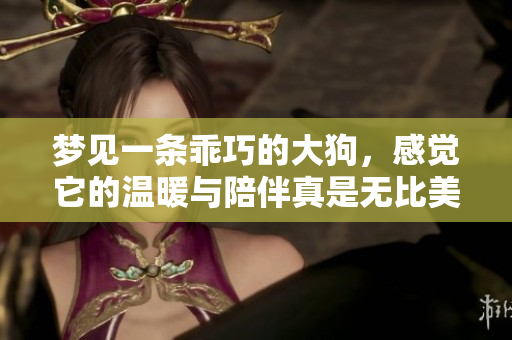 梦见一条乖巧的大狗，感觉它的温暖与陪伴真是无比美好