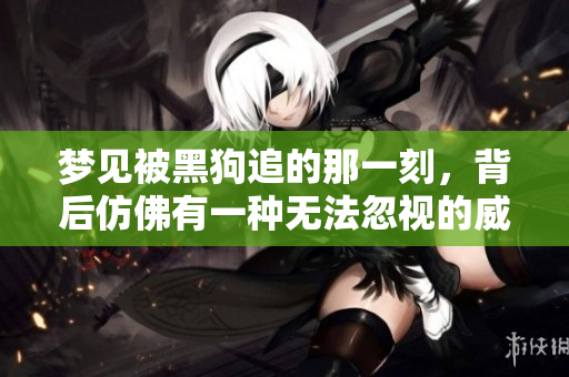 梦见被黑狗追的那一刻，背后仿佛有一种无法忽视的威胁感