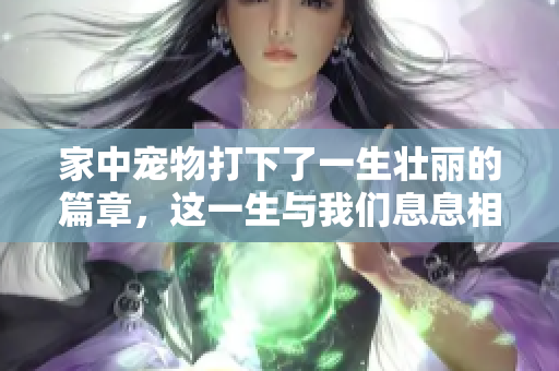 家中宠物打下了一生壮丽的篇章，这一生与我们息息相关
