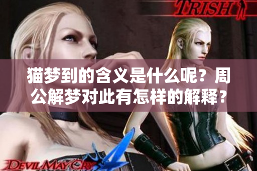 猫梦到的含义是什么呢？周公解梦对此有怎样的解释？
