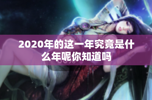 2020年的这一年究竟是什么年呢你知道吗