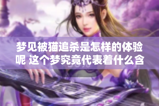 梦见被猫追杀是怎样的体验呢 这个梦究竟代表着什么含义呢