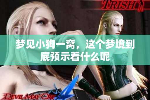 梦见小狗一窝，这个梦境到底预示着什么呢