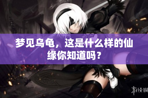 梦见乌龟，这是什么样的仙缘你知道吗？