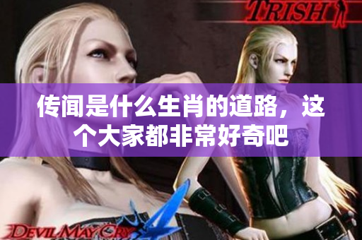 传闻是什么生肖的道路，这个大家都非常好奇吧