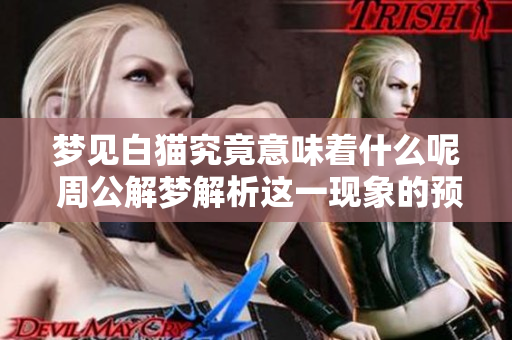 梦见白猫究竟意味着什么呢 周公解梦解析这一现象的预兆