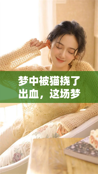 梦中被猫挠了出血，这场梦让我感到无比痛苦与惊讶