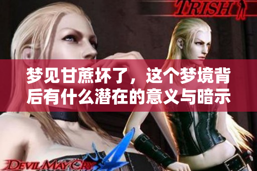 梦见甘蔗坏了，这个梦境背后有什么潜在的意义与暗示呢