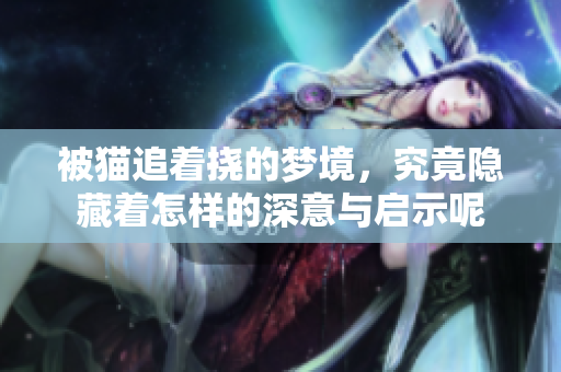 被猫追着挠的梦境，究竟隐藏着怎样的深意与启示呢