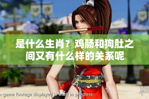 是什么生肖？鸡肠和狗肚之间又有什么样的关系呢