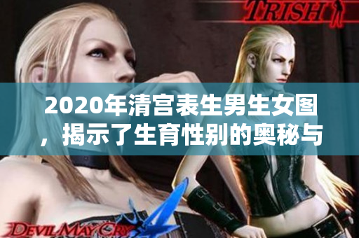 2020年清宫表生男生女图，揭示了生育性别的奥秘与预测信息